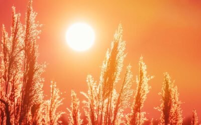 Best Practices for Running Your RV A/C in Extreme Heat