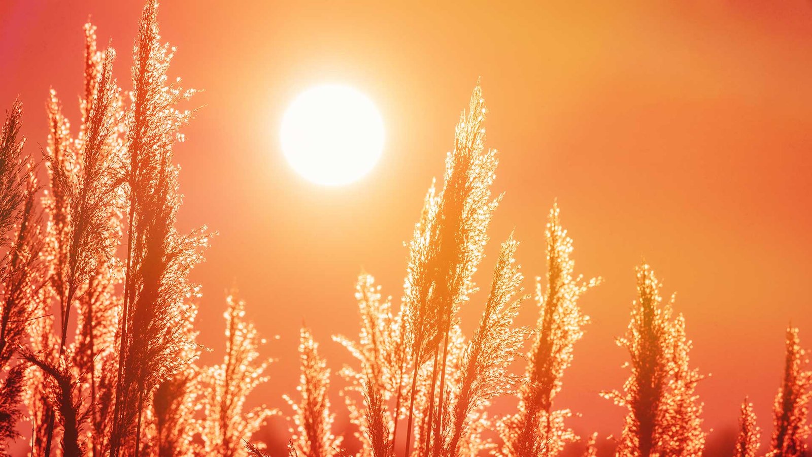 Best Practices for Running Your RV A/C in Extreme Heat